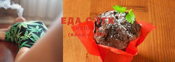 индика Новосибирск