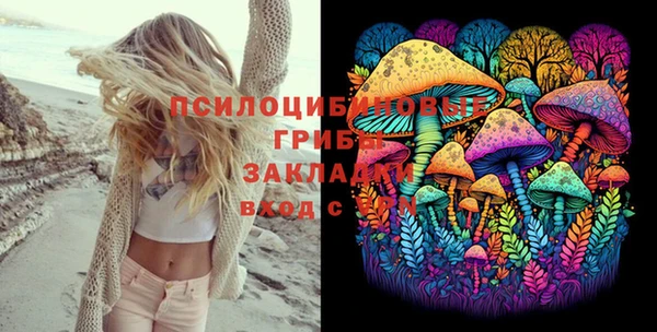 дживик Осташков