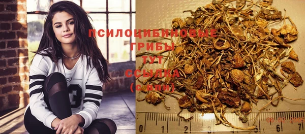 дживик Осташков