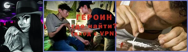 индика Новосибирск