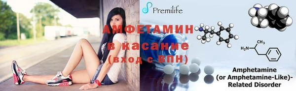 индика Новосибирск