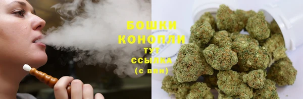 индика Новосибирск