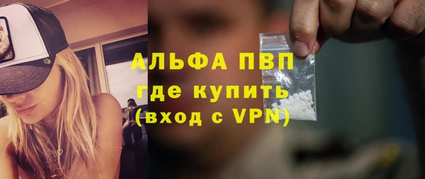 сатива Пересвет