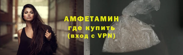 индика Новосибирск