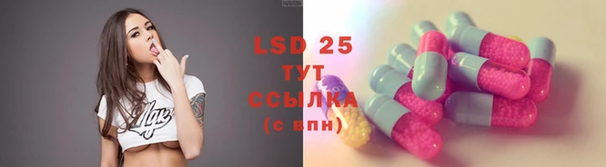 ГАЛЛЮЦИНОГЕННЫЕ ГРИБЫ Ессентукская
