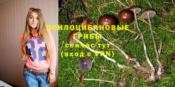 прущий лед Остров
