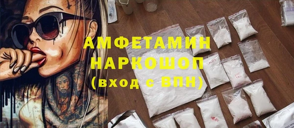 сатива Пересвет