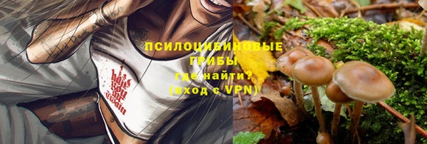 ALPHA PVP Болотное