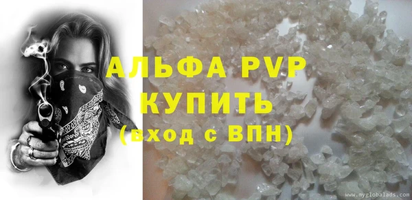 сатива Пересвет