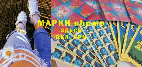 сатива Пересвет