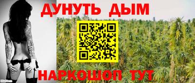 молекула духа Будённовск