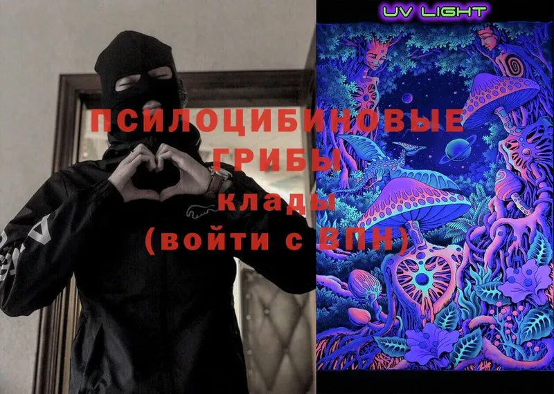 Псилоцибиновые грибы MAGIC MUSHROOMS  Губаха 