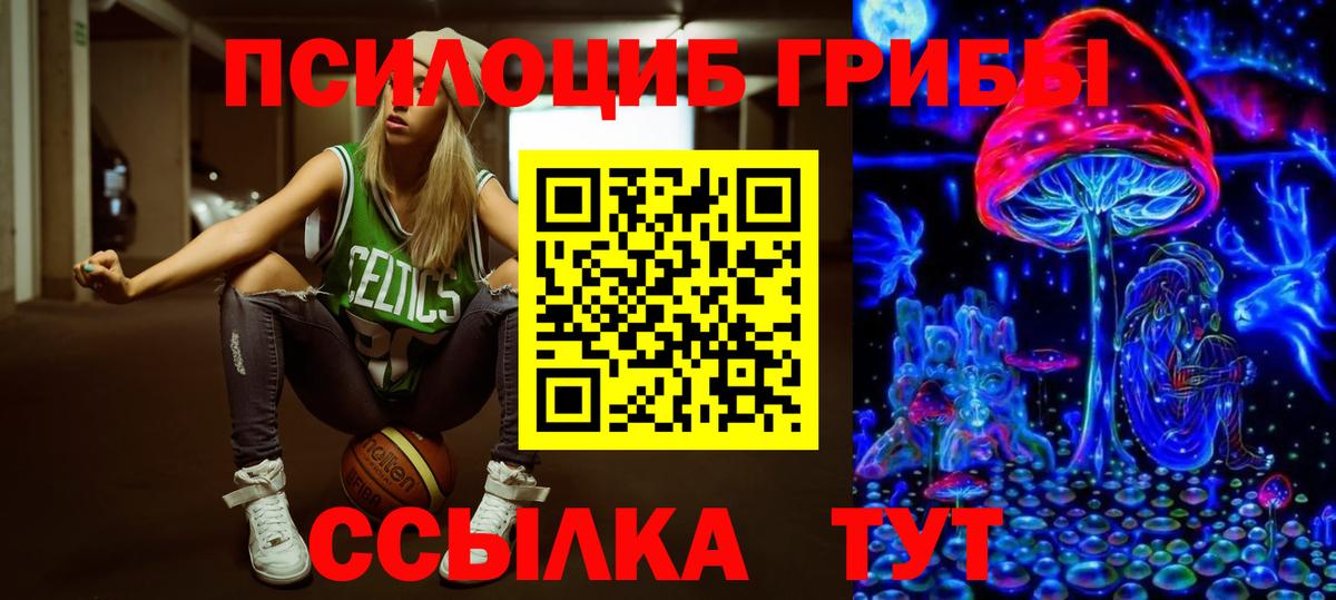 Псилоцибиновые грибы мухоморы Губаха
