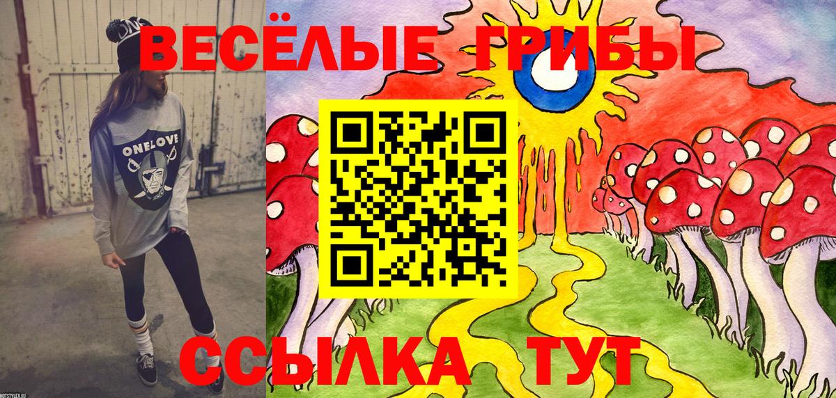 Галлюциногенные грибы Cubensis  где найти   Губаха 