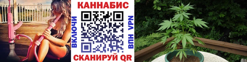 ОМГ ОМГ зеркало  shop официальный сайт  Бошки Шишки планчик  Губаха 